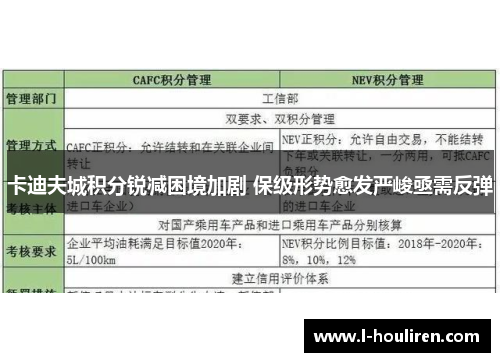 卡迪夫城积分锐减困境加剧 保级形势愈发严峻亟需反弹